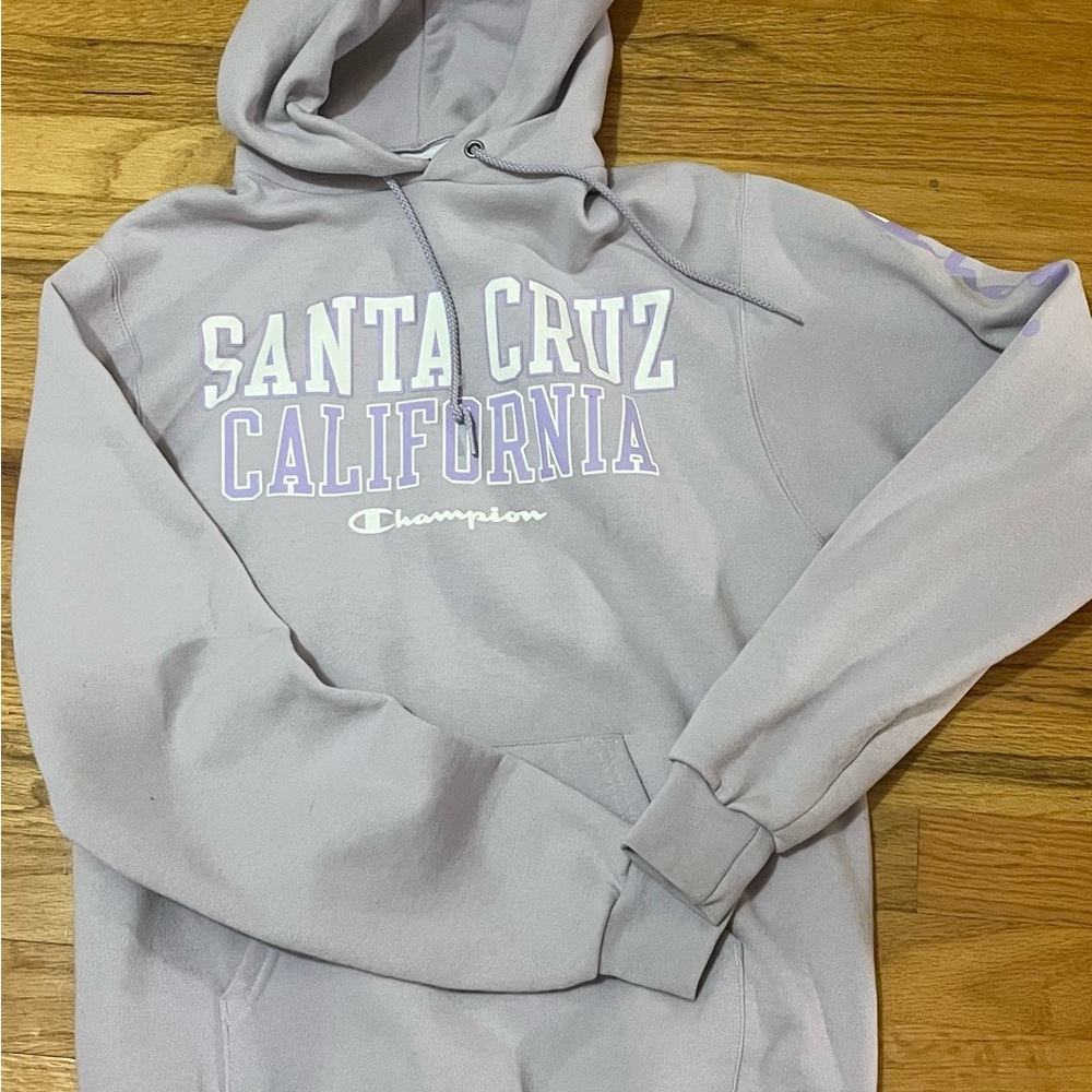 Champion Santa Cruz California Hoodie women’s size small